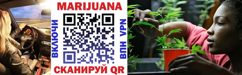 Канабис OG Kush Нахабино